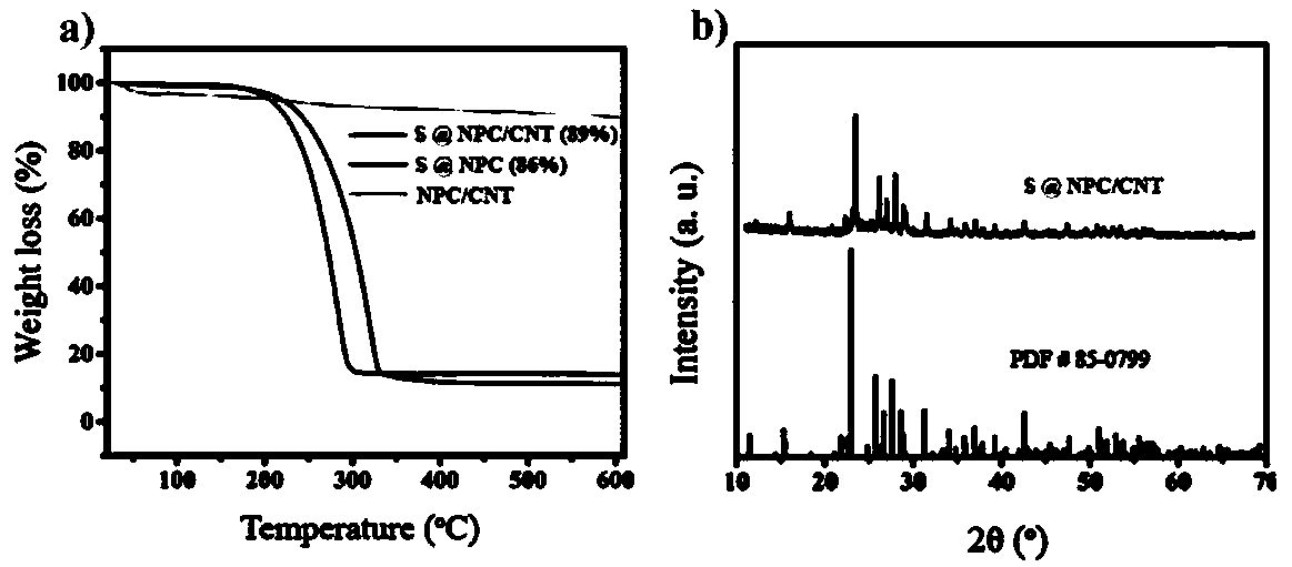 S@NPC/CNT composite material and preparation method and application thereof