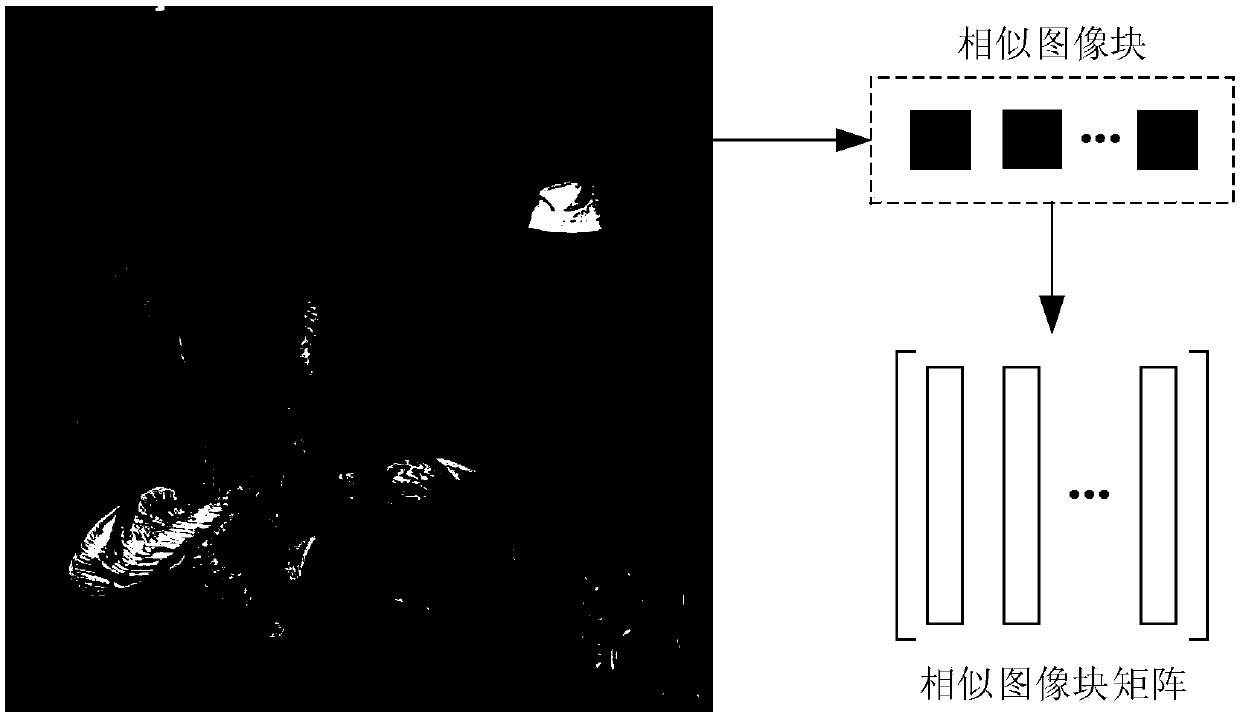 An image denoising algorithm based on gamma norm minimization