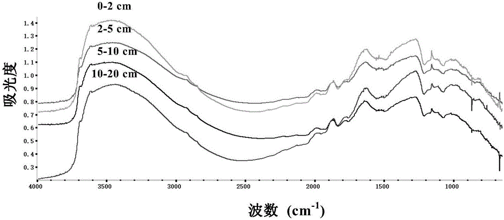 Method for detecting chemical composition of soil organic matter with mid-infrared spectra