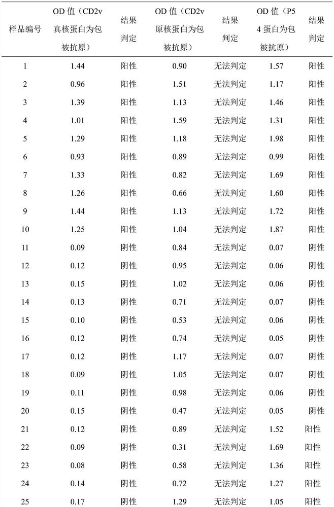 African swine fever virus cd2v truncated protein and its application in the preparation of wild virus and natural attenuated virus detection kits