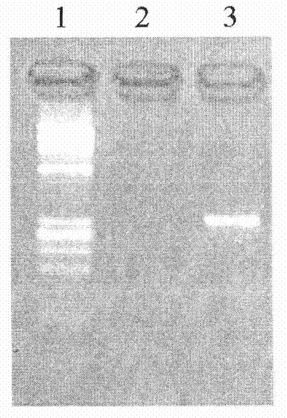 Method for washing and recycling membranate glass slide for microdissection