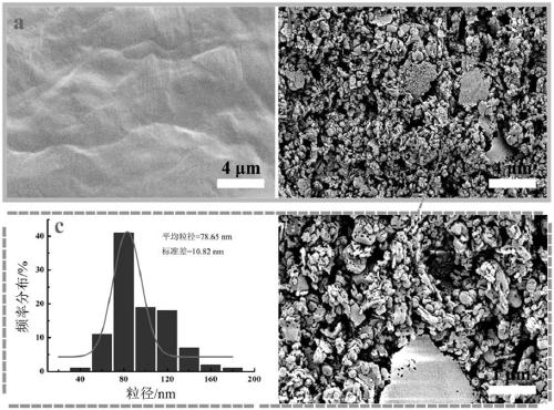 Water-based paint with high thermal conductive and insulating properties