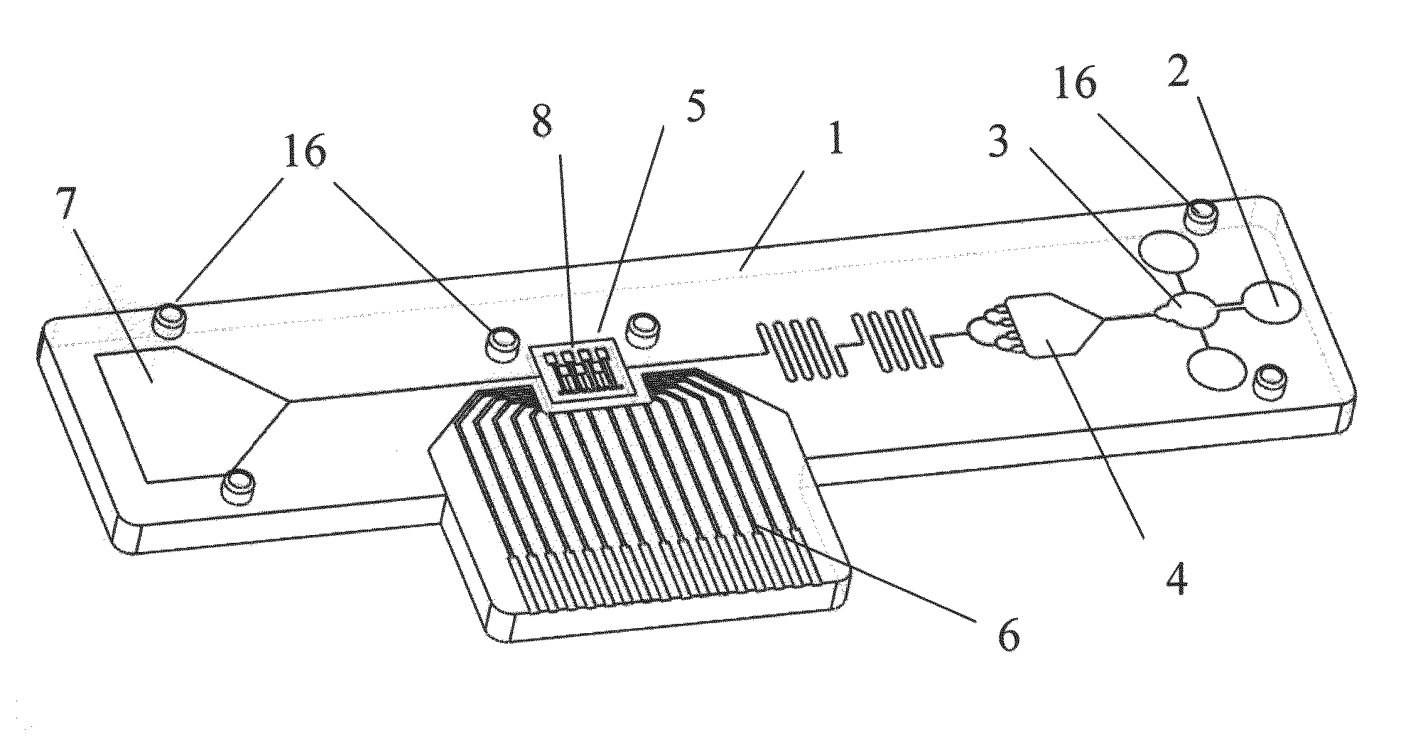 Biochip and fabrication thereof