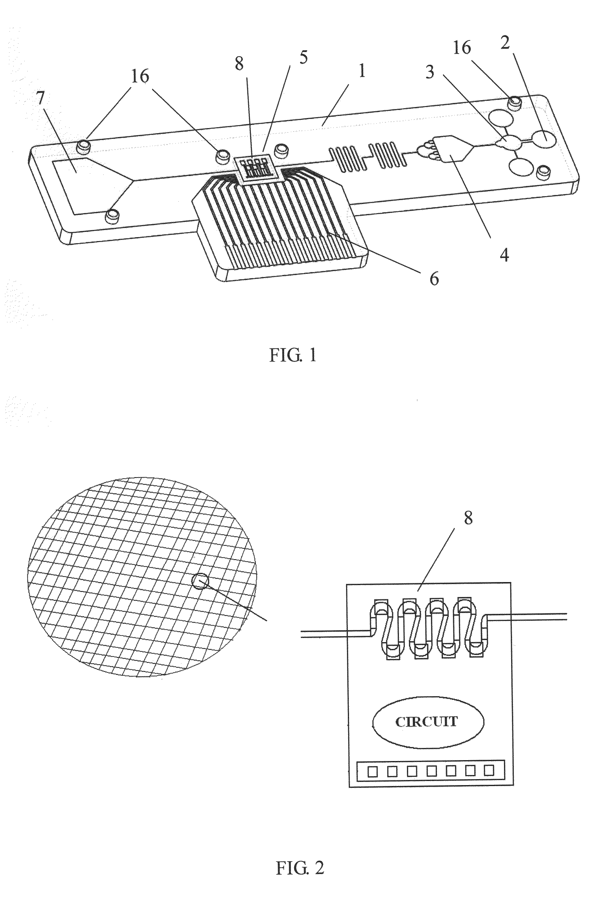 Biochip and fabrication thereof