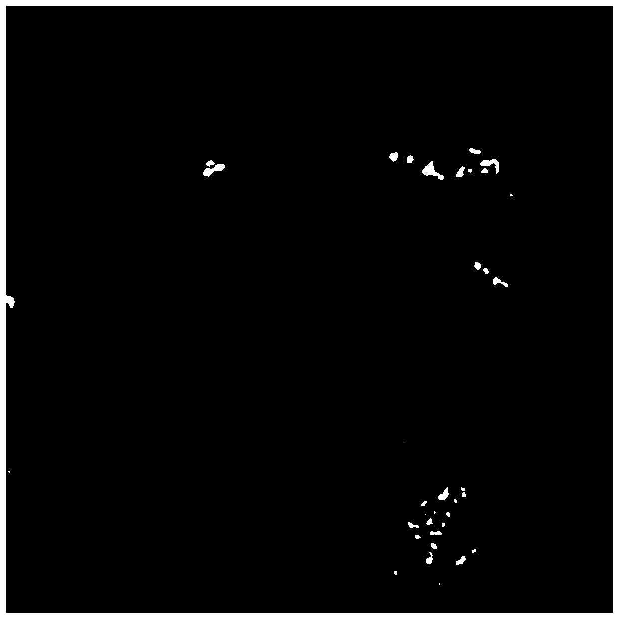 Wireless capsule endoscope video saliency detection method based on attention mechanism