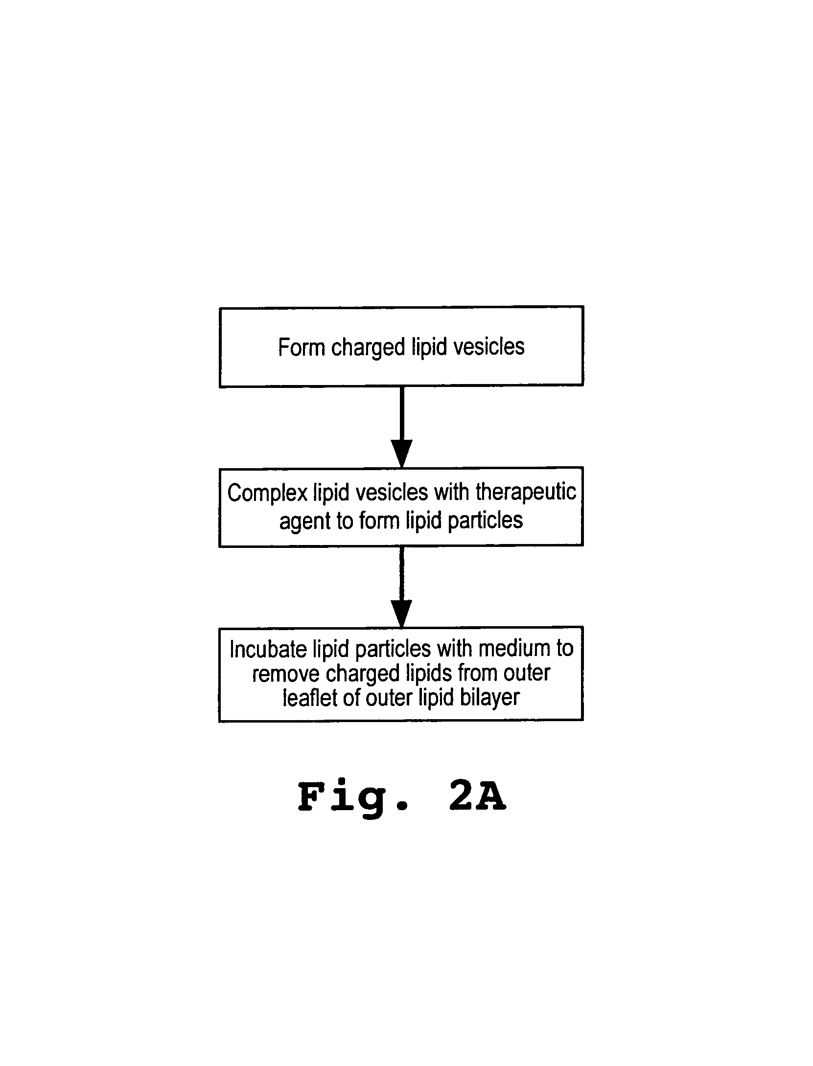 Lipid particles having asymmetric lipid coating and method of preparing same