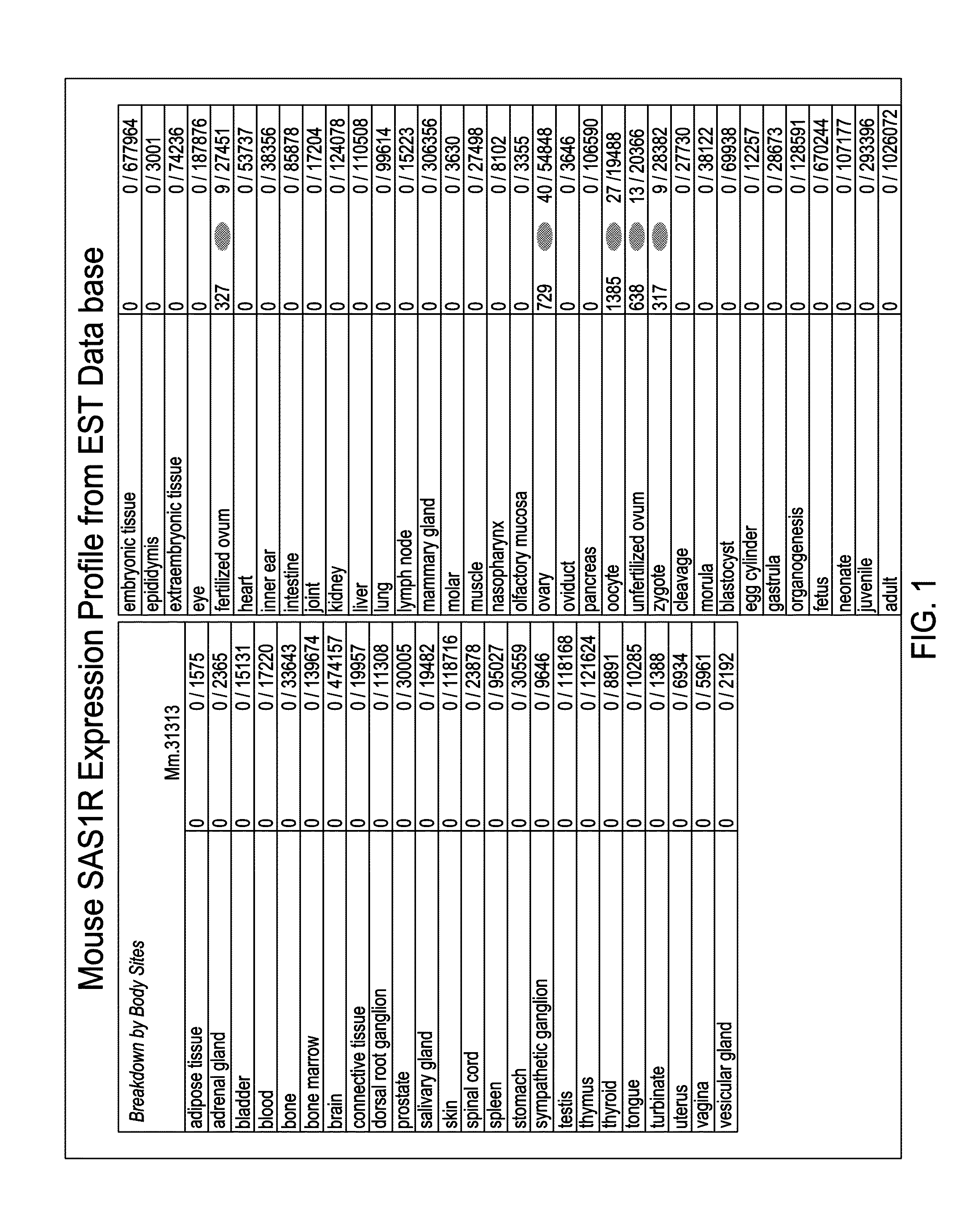 Compositions and methods for detecting, diagnosing, and treating cancer