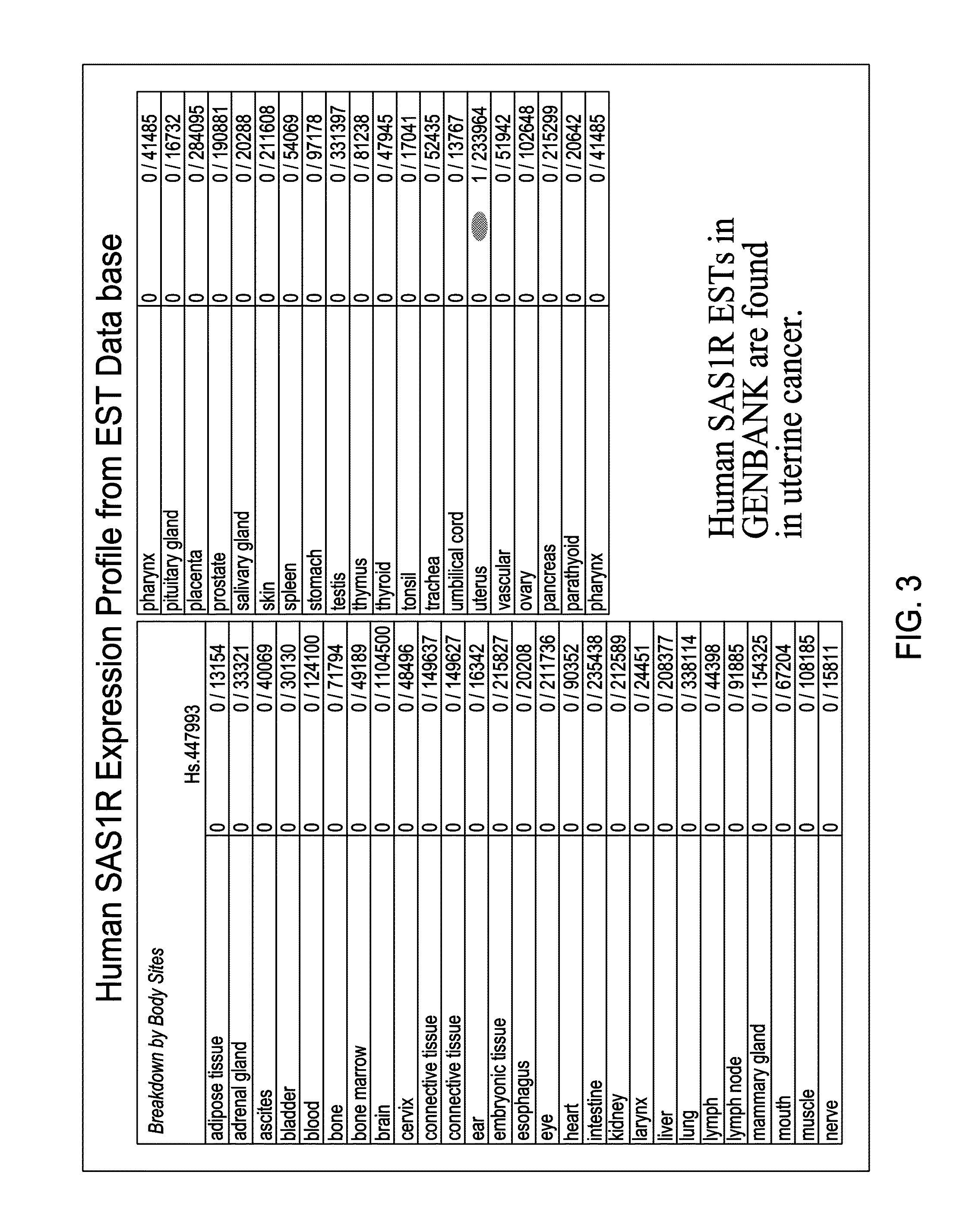 Compositions and methods for detecting, diagnosing, and treating cancer