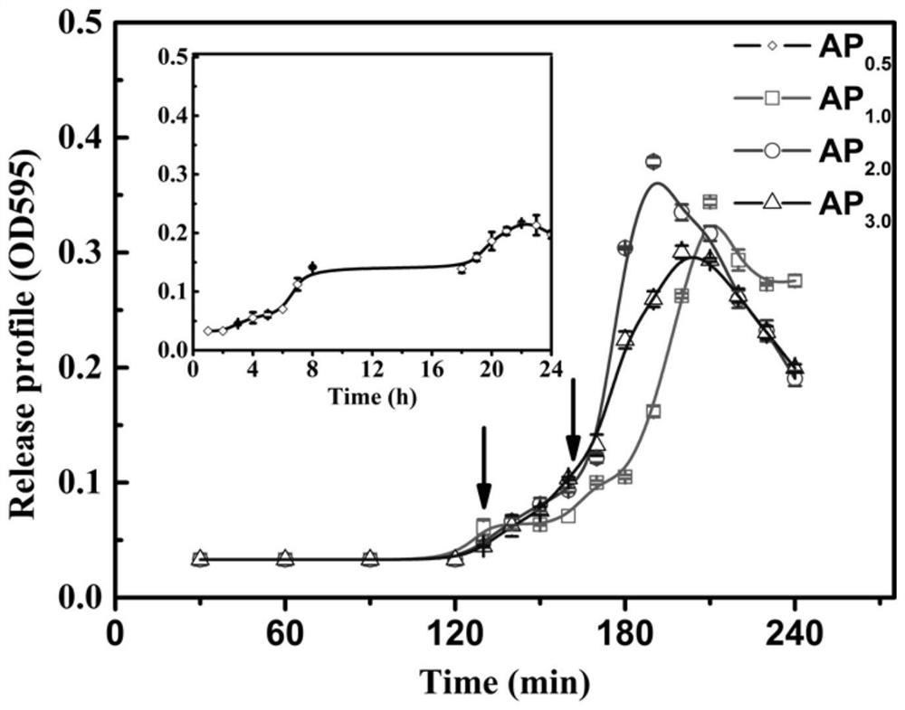 Intestine-targeted oral probiotic preparation and preparation method and application thereof