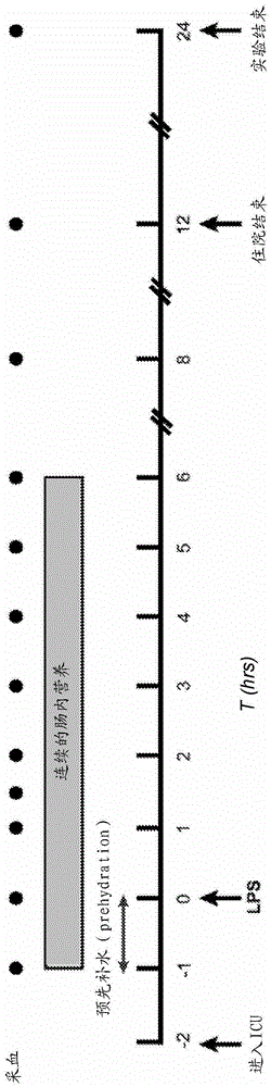 Food composition for intraoperative tube feeding