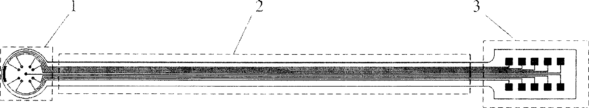 Implantation micro-electrode having integrated medicinal agent releasing function, its manufacturing method and application