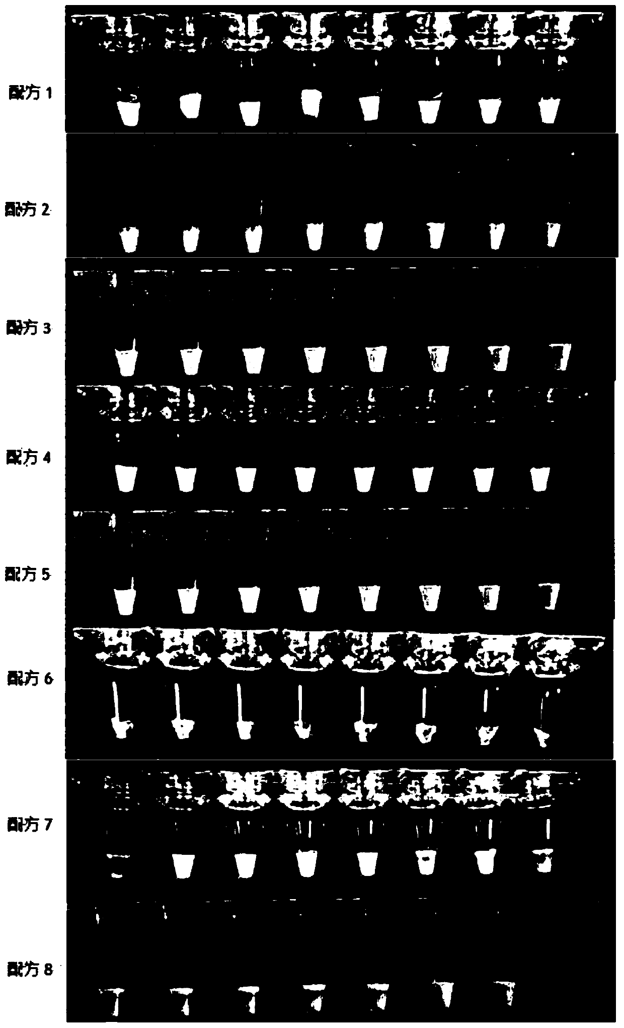 Multiplex fluorescent PCR universal freeze-drying protective agent and application thereof