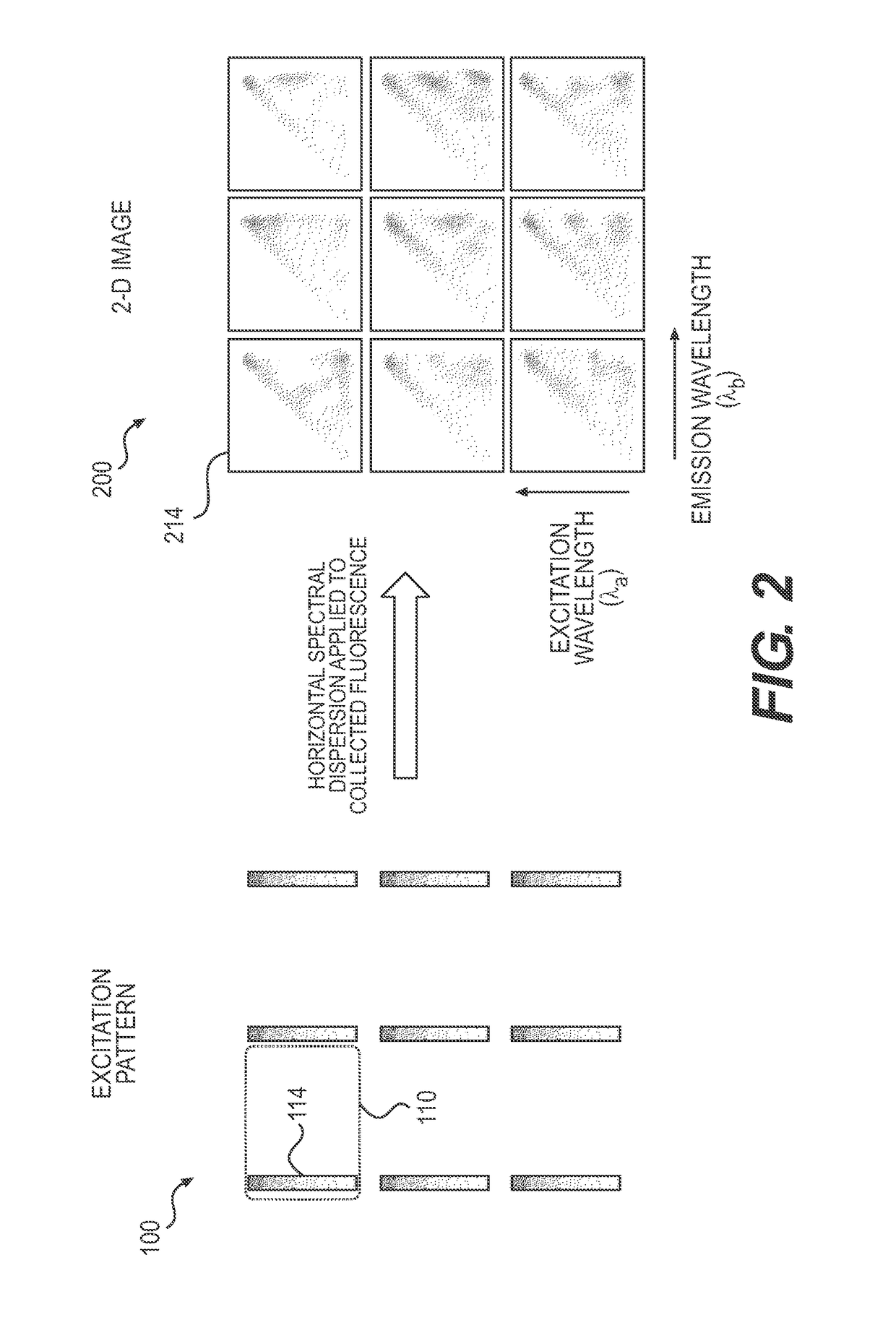 Systems and Methods for 4-D Hyperspectral Imaging