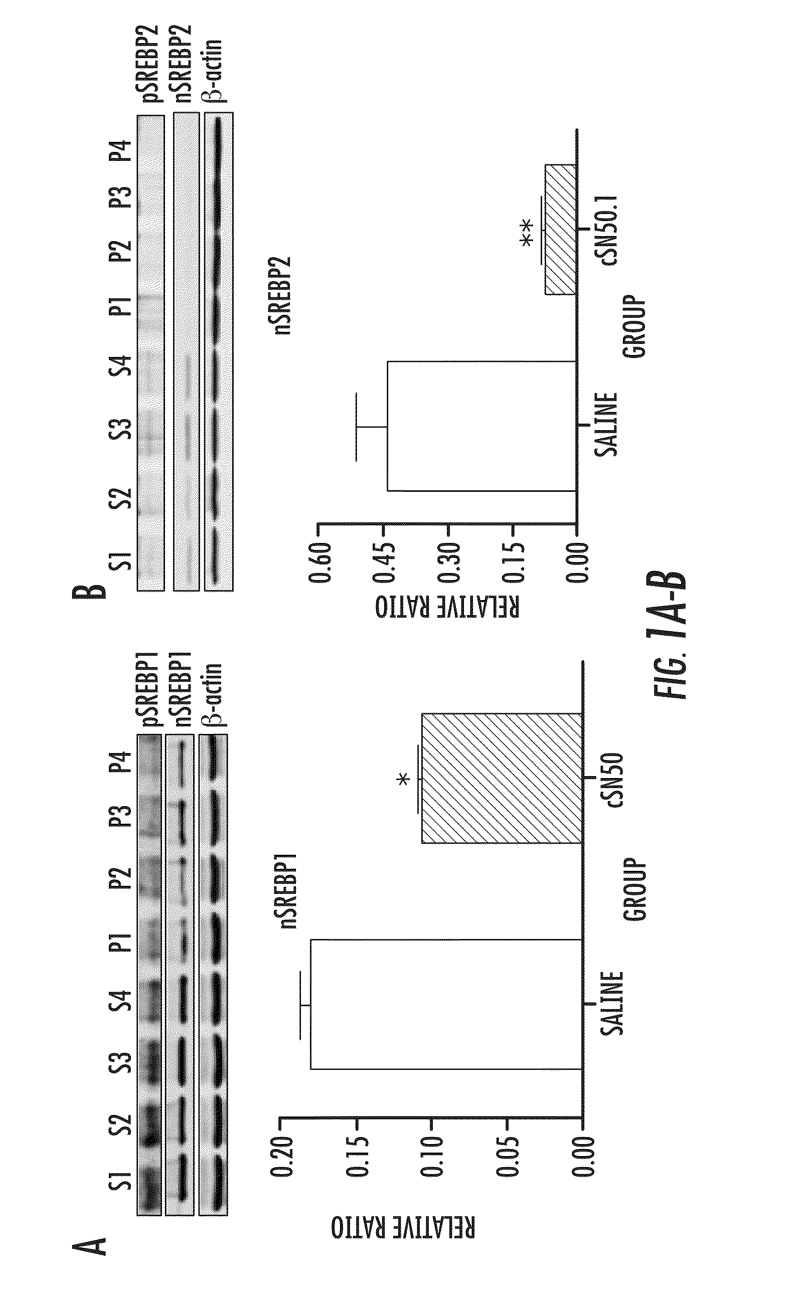 Compositions and methods for treating and preventing hyperlipidemia, fatty liver, atherosclerosis and other disorders associated with metabolic syndrome