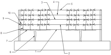 A kind of plastic pruning method of plum tree and apricot tree