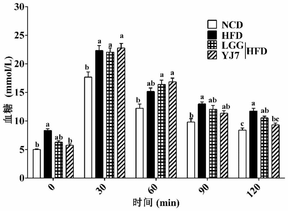 Lactobacillus plantarum ZJUFYJ7 and application thereof