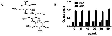 Bioactive material promoted stem cell secreted exosome in treatment of corneal injuries