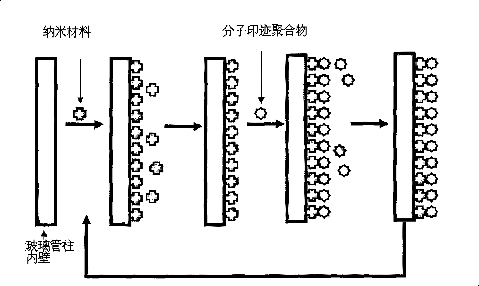 Trace amount mycotoxins molecular blotting column preparation method and application