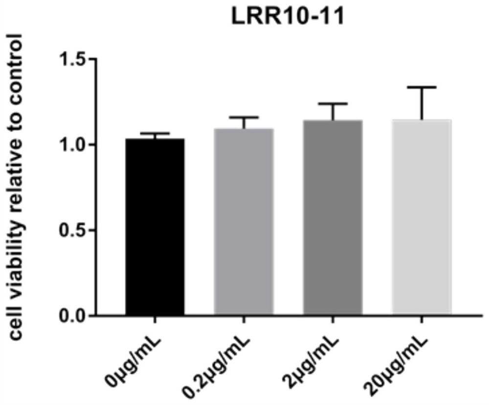 Preparation and application of polypeptide for promoting bone regeneration or bone formation