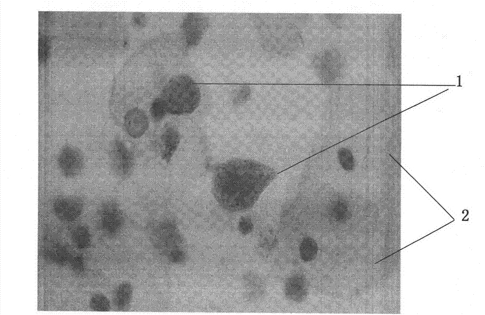 Exfoliated cell preservation solution and preparation method thereof