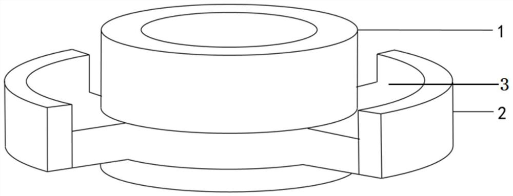 Silicone oil taking-out sealing ring for ophthalmology department