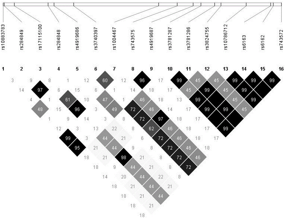 Detection method of 17[alpha] hydroxylase deficiency common gene mutation applicable to Chinese population