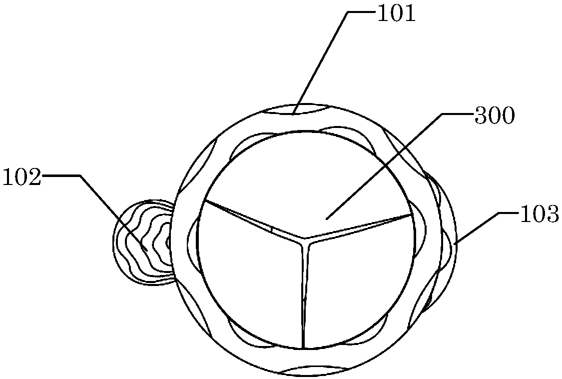 Ascending aortic stent graft