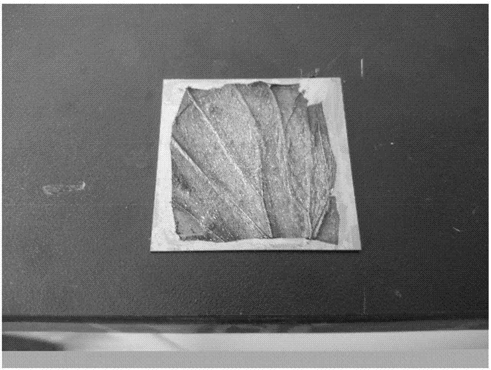 Solar-thermal conversion system based on biological fine structure and surface plasma resonance effect