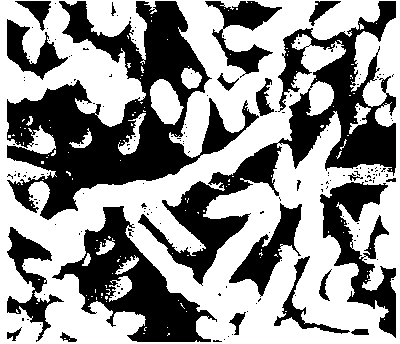 Space-induced efficient bifidobacterium bifidum and application thereof as well as preparation method of capsule preparation of space-induced efficient bifidobacterium bifidum