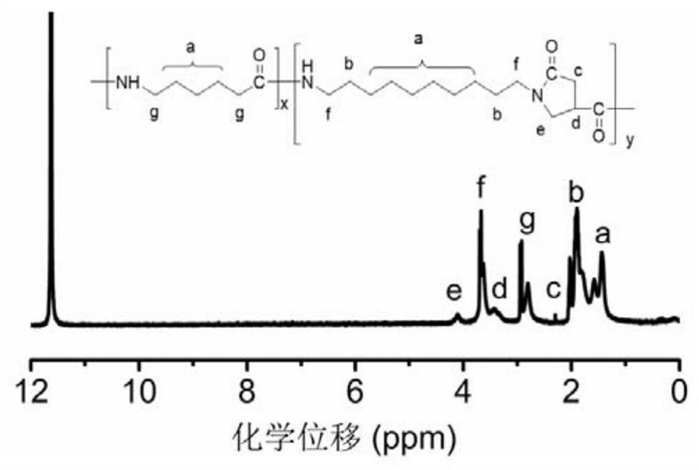 Thermoplastic nylon elastomer containing pyrrolidone structure amorphous nylon segment and its preparation method and application