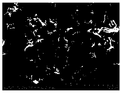 Method for preparing carbon aerogel by using waste seaweed residues as raw material