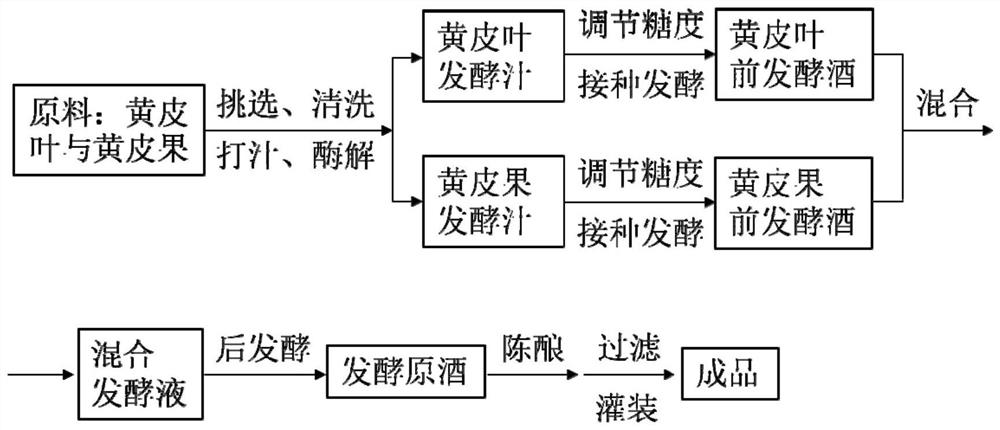 Mixed fermented fruit wine of yellow skin leaves and yellow skin fruit and processing method thereof