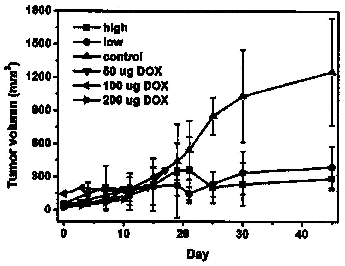 Traditional Chinese medicine composition for clearing away heat and toxic materials and removing stasis, and preparation method thereof