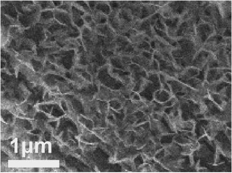 Catalyst for producing furoic acid through electro-catalytic oxidation of furfural and preparation method and use method of catalyst