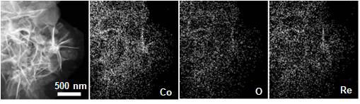 Catalyst for producing furoic acid through electro-catalytic oxidation of furfural and preparation method and use method of catalyst