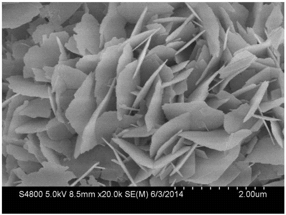 Bismuth oxychloride-iron bismuth titanate composite photocatalyst and preparation method thereof