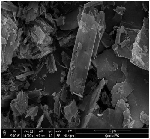 Method for treating organic pollutants and photocatalytic sterilization by using modified carbon quantum dot loaded hollow tubular carbon nitride photocatalyst