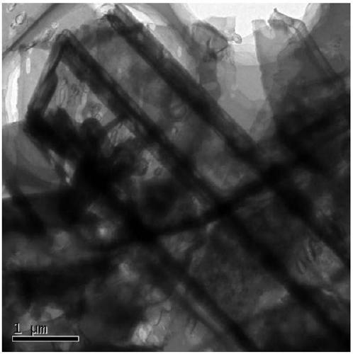 Method for treating organic pollutants and photocatalytic sterilization by using modified carbon quantum dot loaded hollow tubular carbon nitride photocatalyst