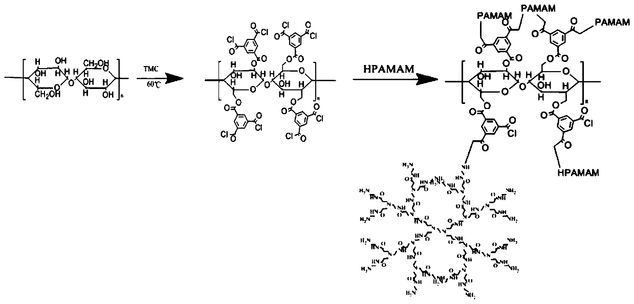 Preparation method and use method of cross-linked hyperbranched amine-modified oxidized starch adhesive for laminated wood