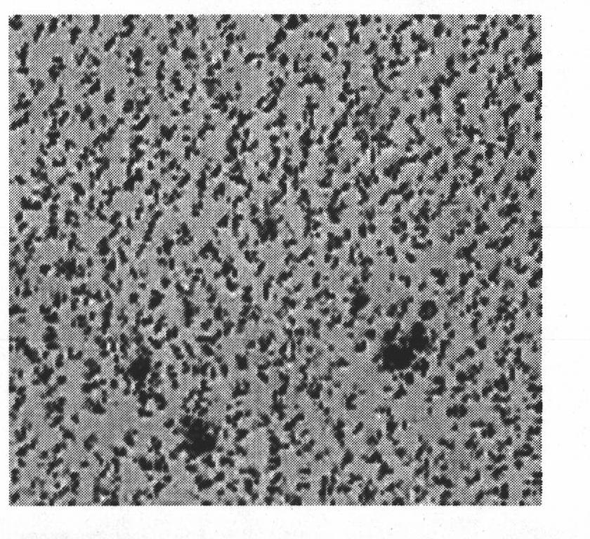 Method for preparing magnetic thin film