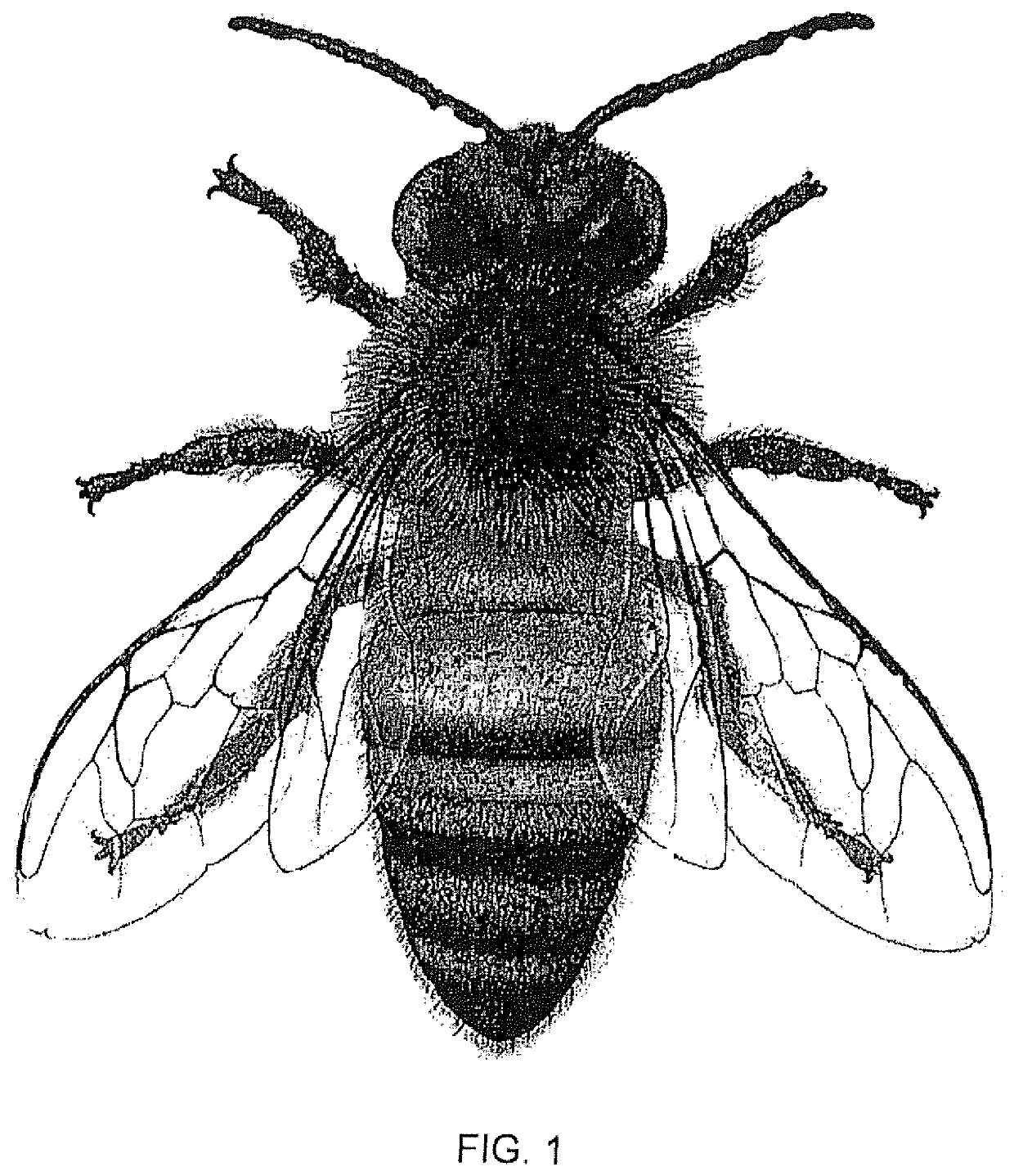 Method and system for protecting honey bees from pesticides