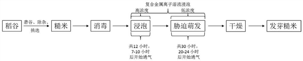 Method for preparing germinated brown rice through dual-stress germination