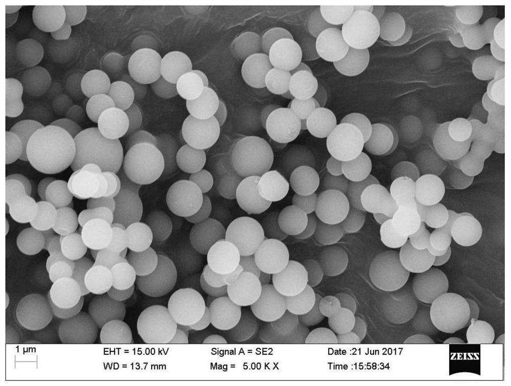 A preparation method of collagen peptide grafted hydrothermal carbon microsphere adsorbent