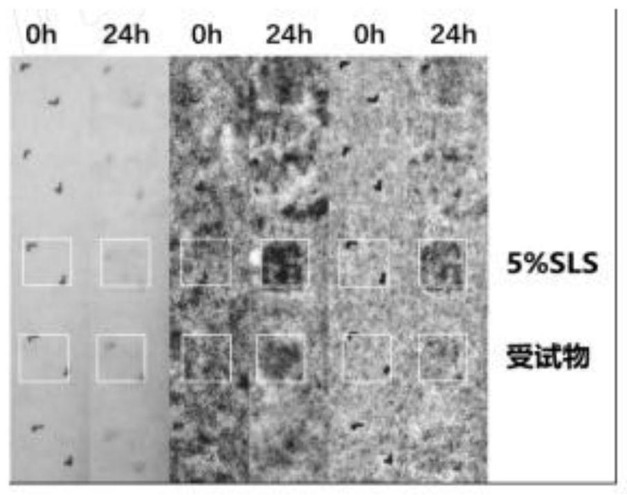 Slow-release moisturizing face cream and preparation method thereof