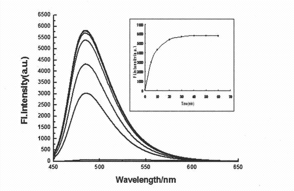 Synthesis and application of fluorescence enhancement detection mercury ion probe