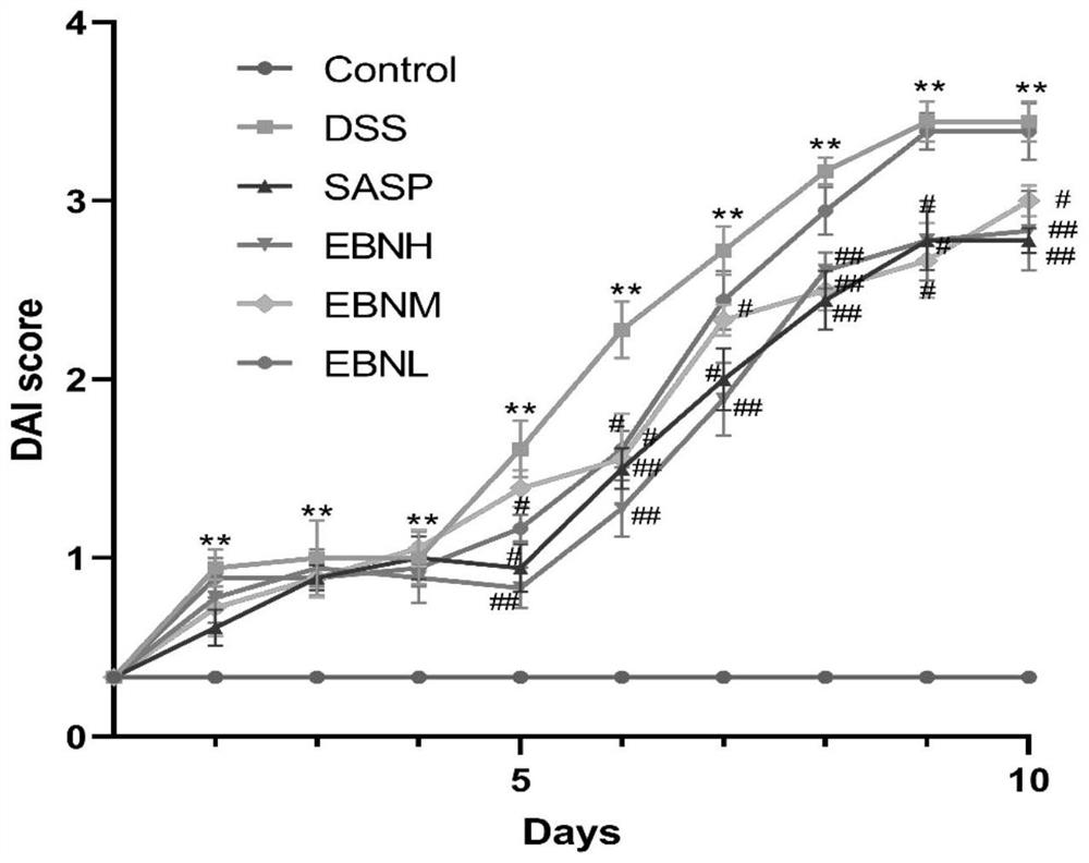 Application of cubilose in preparation of medicine for treating ulcerative colitis