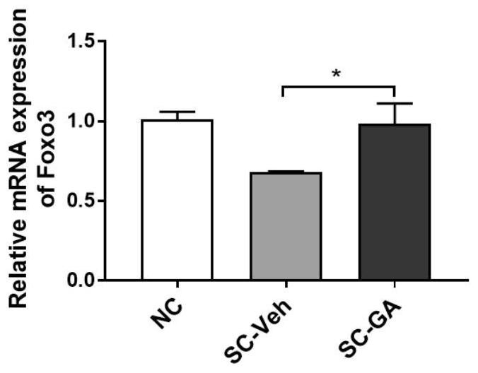 Application of glycyrrhetinic acid to prevention and treatment of stem cell senescence