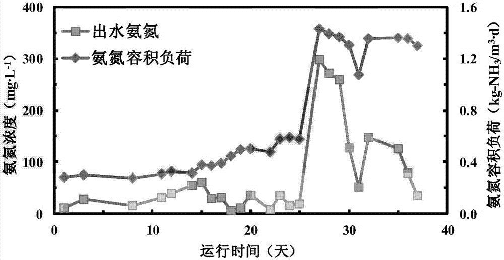 Preparation method for high-adaptability nitrifying bacterial agent