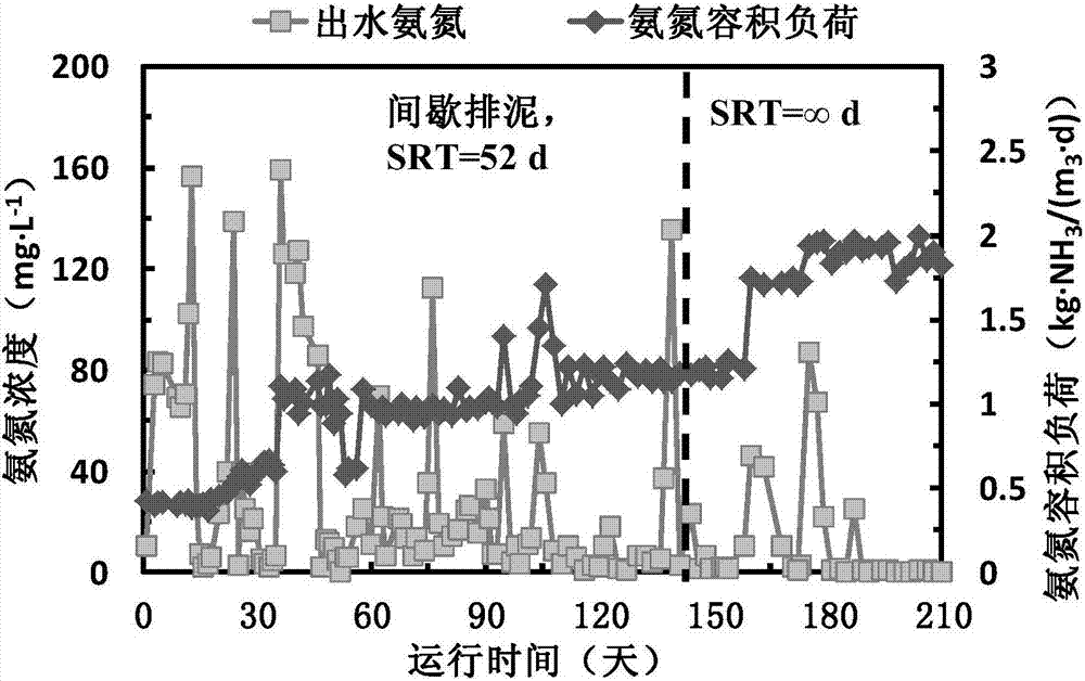 Preparation method for high-adaptability nitrifying bacterial agent