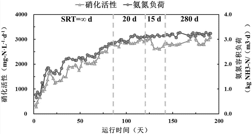 Preparation method for high-adaptability nitrifying bacterial agent